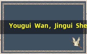 Yougui  Wan，Jingui  Shenqi  Wan和Rongshen  Yishen胶囊，即将进行全面的科学比较。